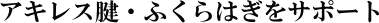 ALXFEӂ͂T|[g
